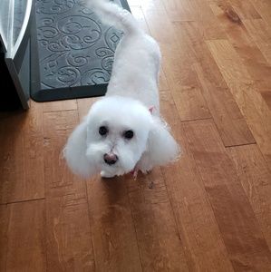 Meet your Posher, Val